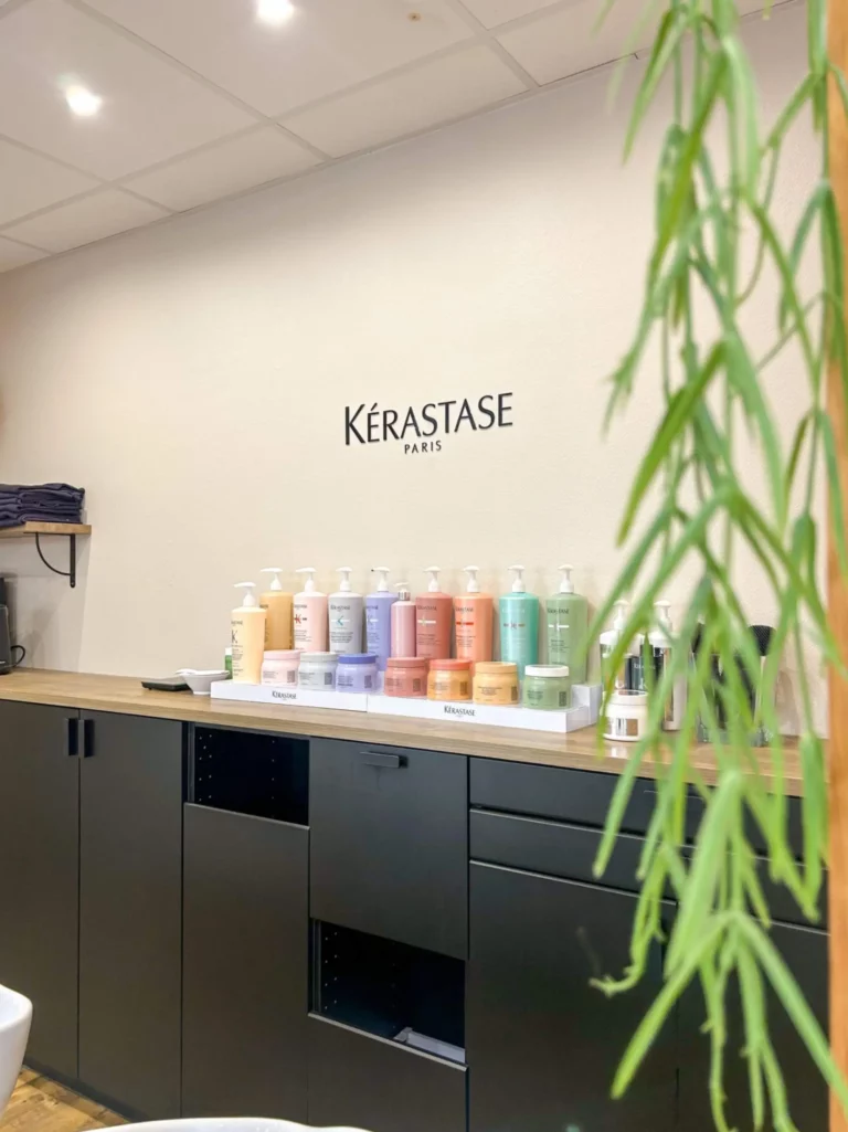 meilleur coiffeur salon coiffure professionnel