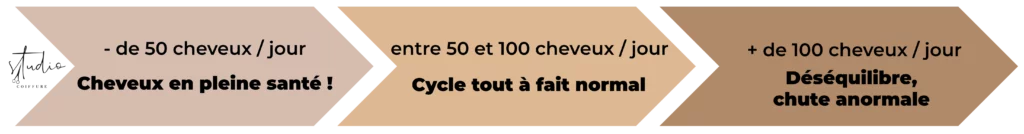 Chute de cheveux par jour Studio Coiffure