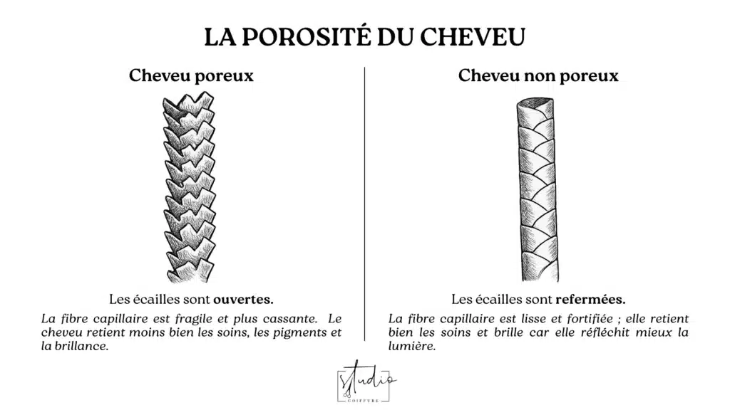 Schéma de la porosité de l'écaille du cheveu